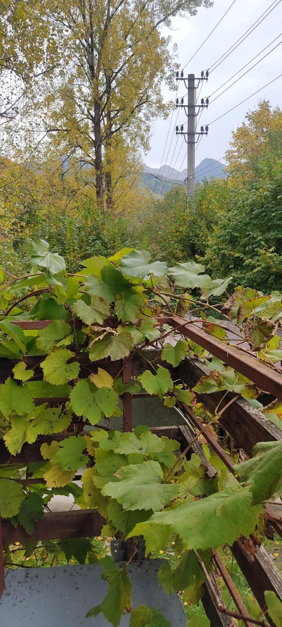 Complex Adela Transfagarasan Villa Cîrţişoara Eksteriør bilde
