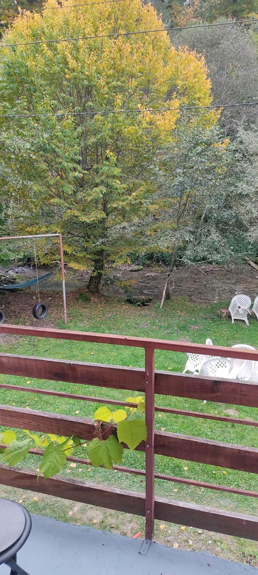 Complex Adela Transfagarasan Villa Cîrţişoara Eksteriør bilde