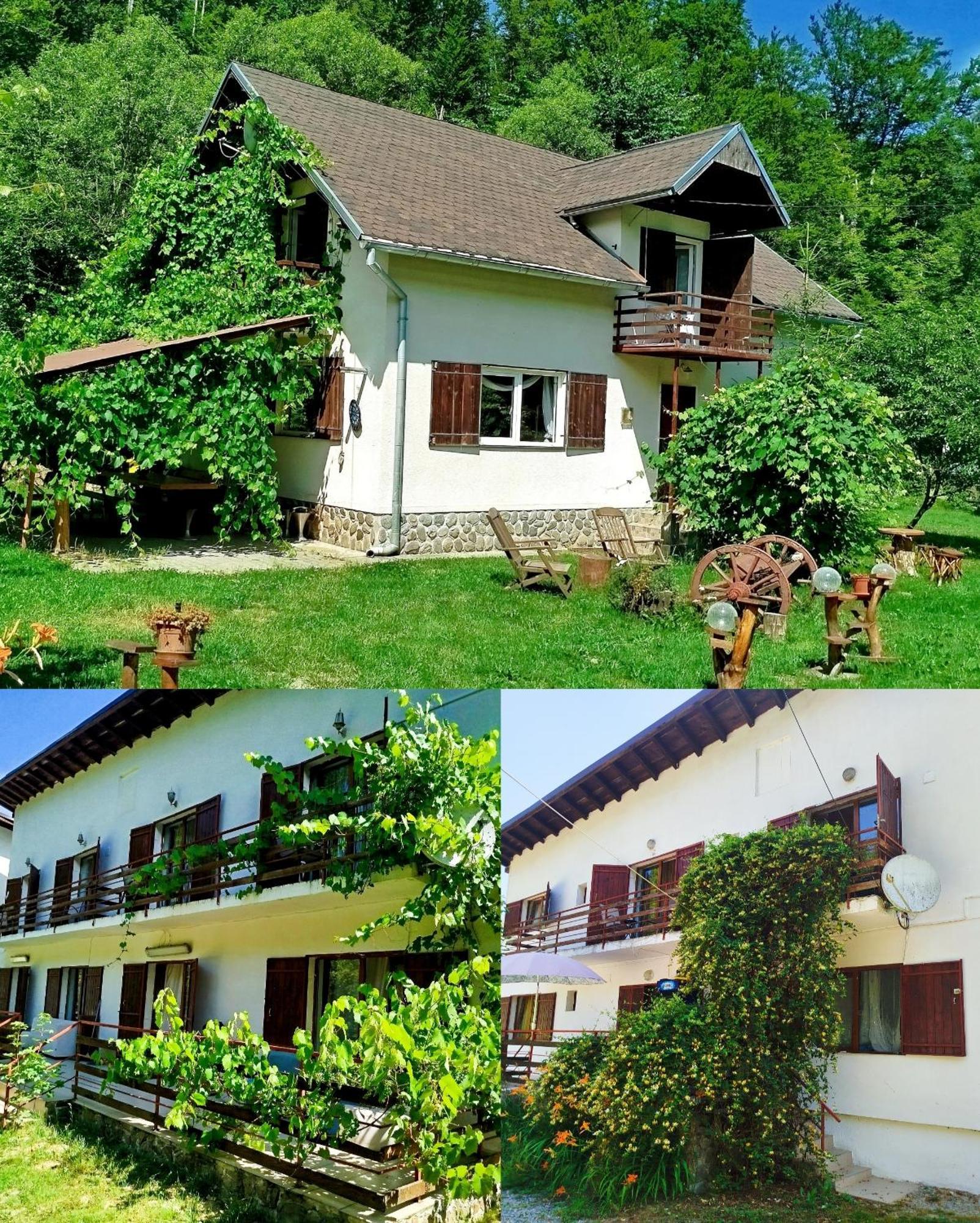 Complex Adela Transfagarasan Villa Cîrţişoara Eksteriør bilde