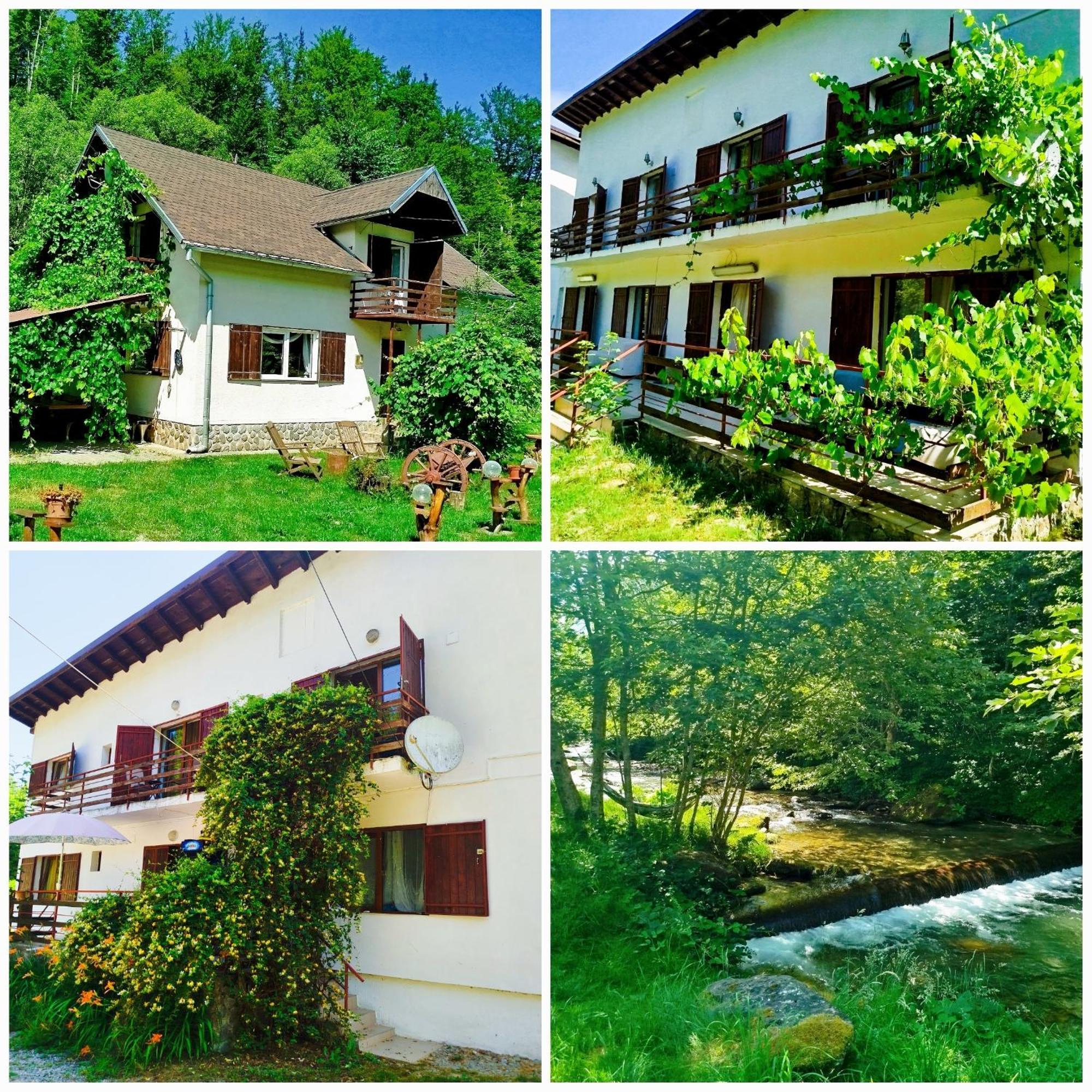 Complex Adela Transfagarasan Villa Cîrţişoara Eksteriør bilde