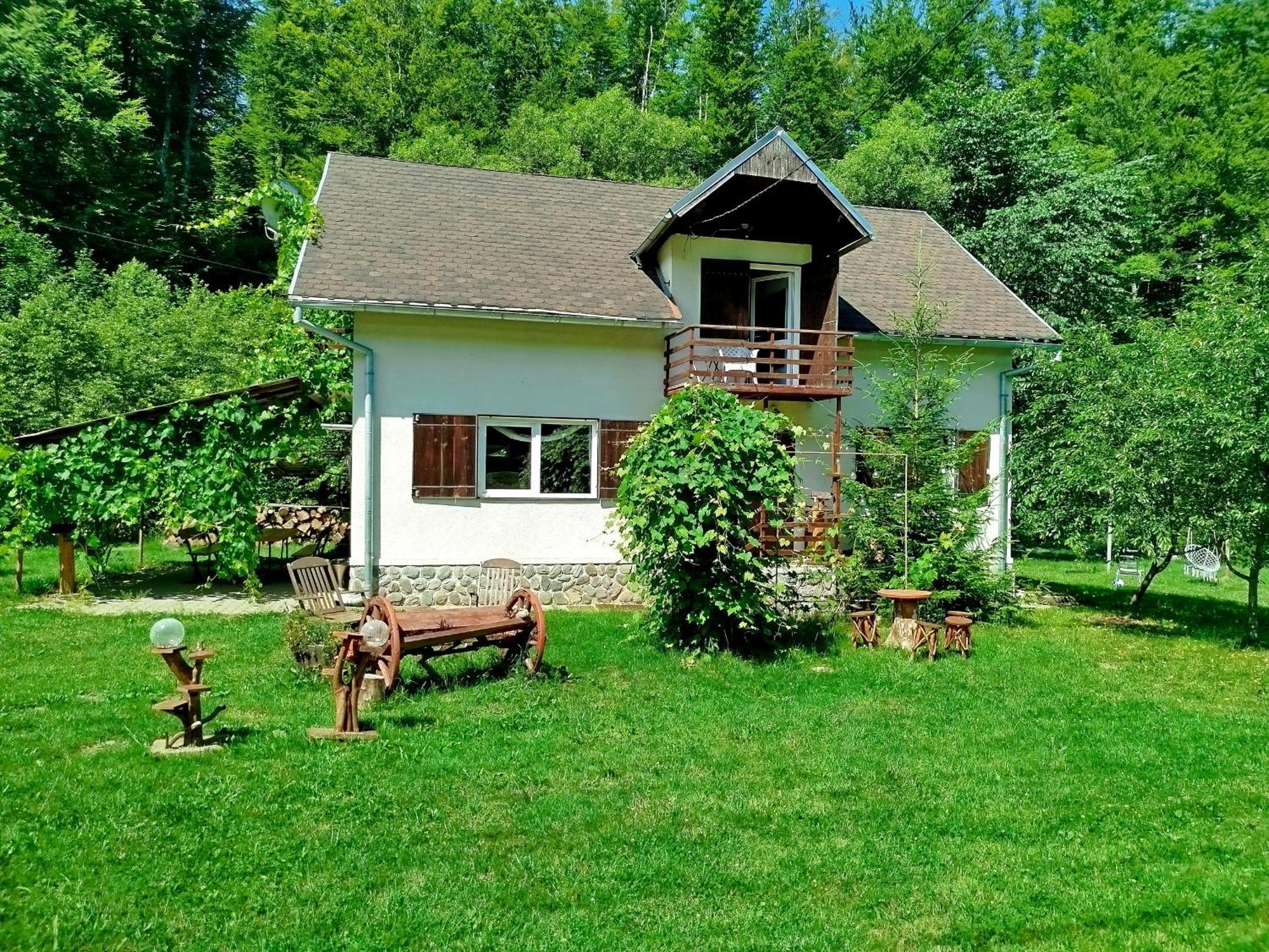 Complex Adela Transfagarasan Villa Cîrţişoara Eksteriør bilde