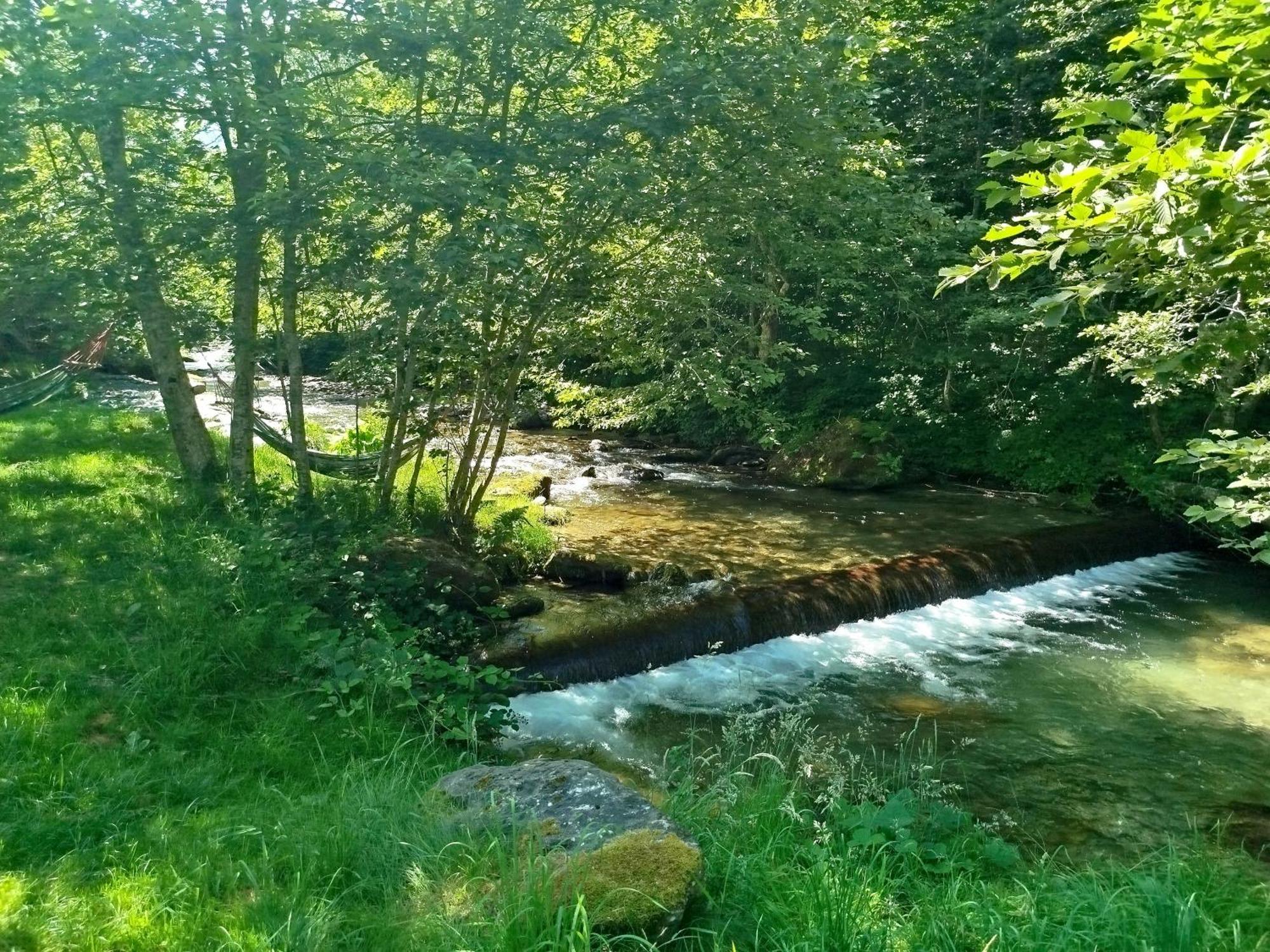 Complex Adela Transfagarasan Villa Cîrţişoara Eksteriør bilde