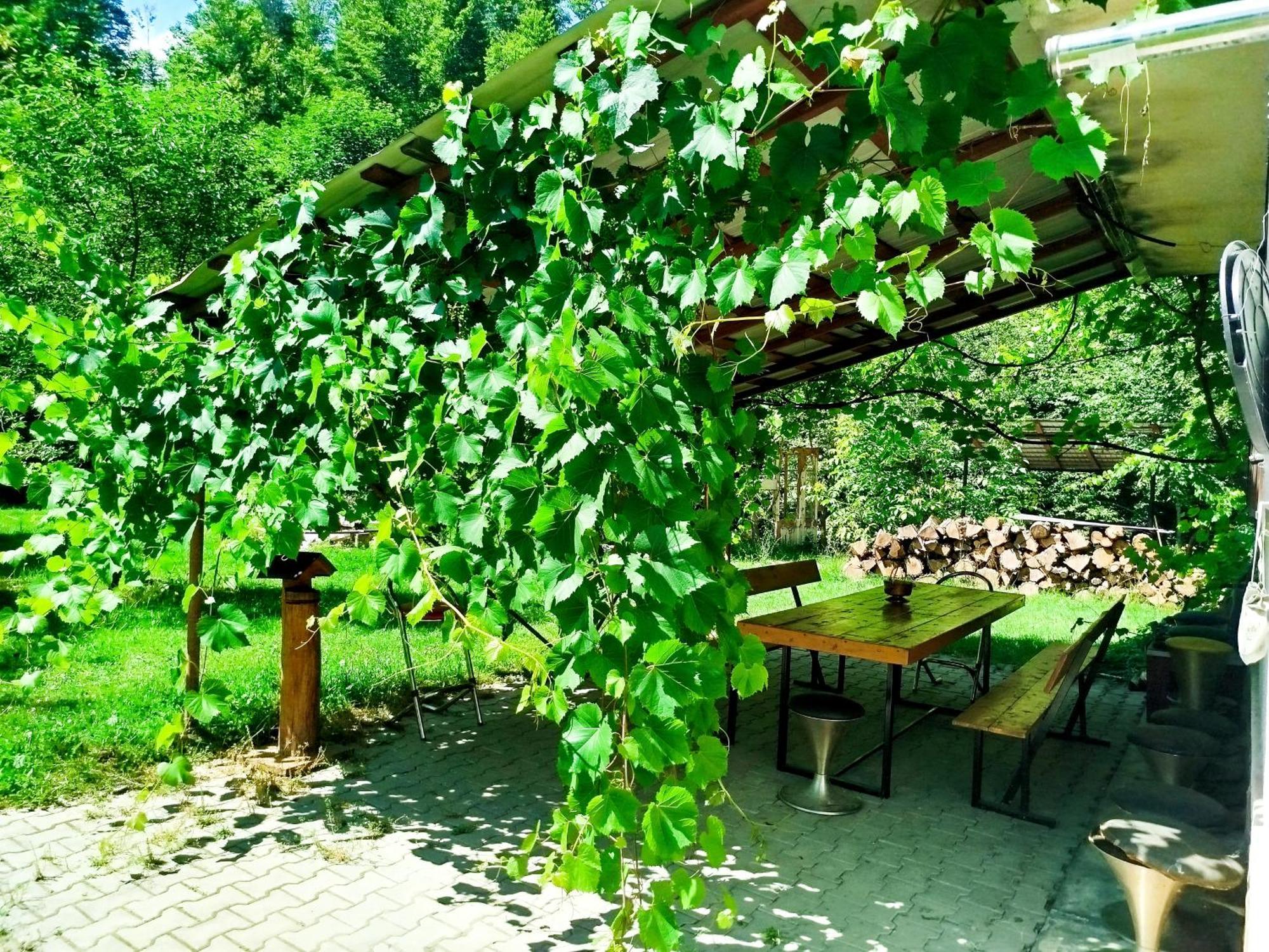 Complex Adela Transfagarasan Villa Cîrţişoara Eksteriør bilde