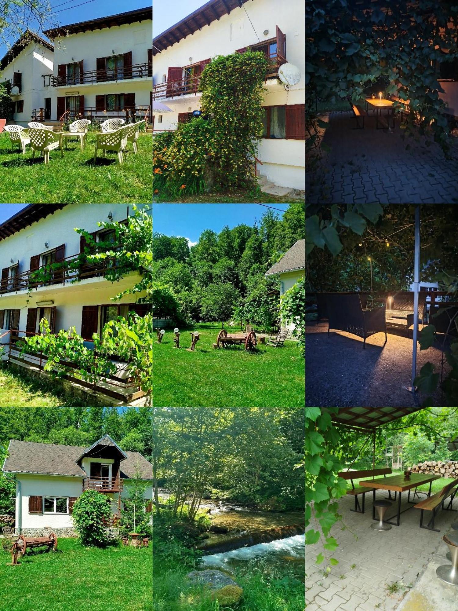 Complex Adela Transfagarasan Villa Cîrţişoara Eksteriør bilde