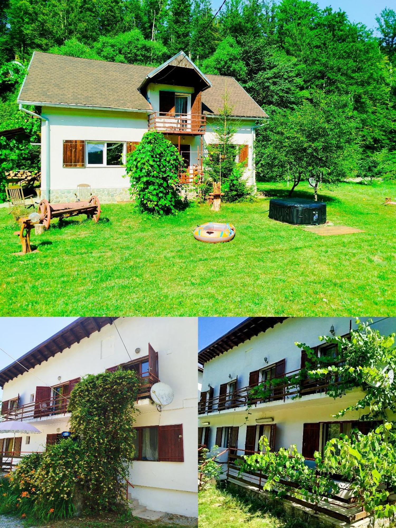 Complex Adela Transfagarasan Villa Cîrţişoara Eksteriør bilde